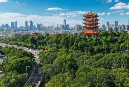 丁香婷婷在线中文字幕综合-丁香婷婷，在线中文字幕的魅力探索