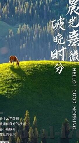 国产另类ts人妖一区二区-国产另类文化，TS人妖群体的独特视角