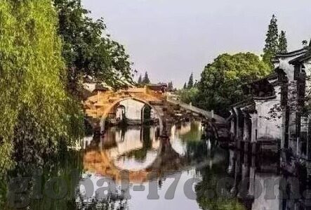 麻豆传媒免费视频网站-标 题，探寻网络视频的多元门户，揭秘麻豆传媒免费视频网站
