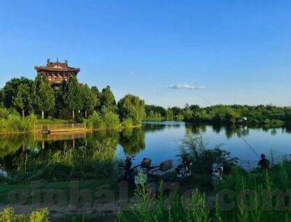 免费的成人在线视频-免费成人在线视频，网络时代的娱乐与界限