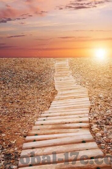 曰本护士电影伦理在线-曰本护士电影，伦理与在线观看的边界探讨